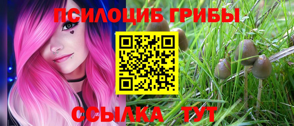 Псилоцибиновые грибы мухоморы Салават