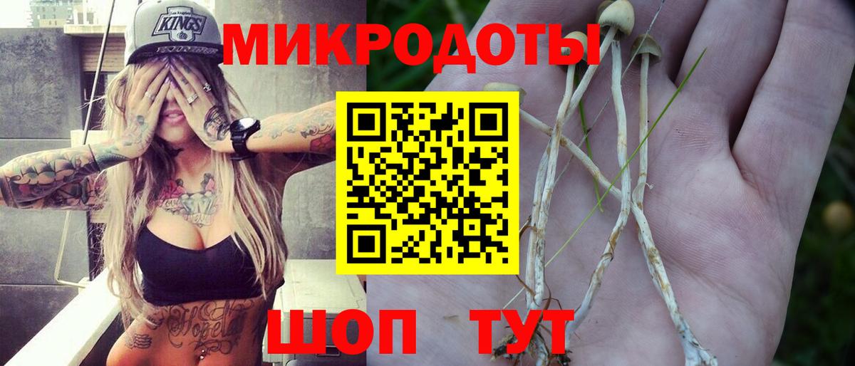 Псилоцибиновые грибы Cubensis  Вход с VPN  Салават 